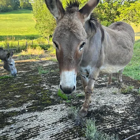 Bed & Breakfast Demeure Du Vallon - D'hotes De Charme 3*