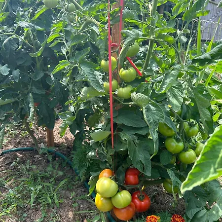 Demeure Du Vallon - D'hotes De Charme Azerat