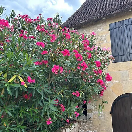 Demeure Du Vallon - D'hotes De Charme לינה וארוחת בוקר 3*