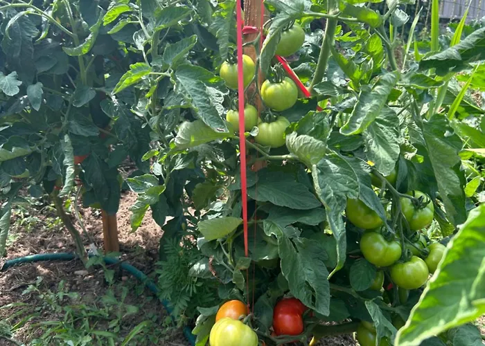 Demeure Du Vallon - D'hotes De Charme Azerat